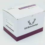 ELK Biotechnology Endo-Low Plasmid Prepare Kit