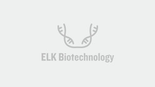 ELK Biotechnology FFPE DNA Extraction Kit