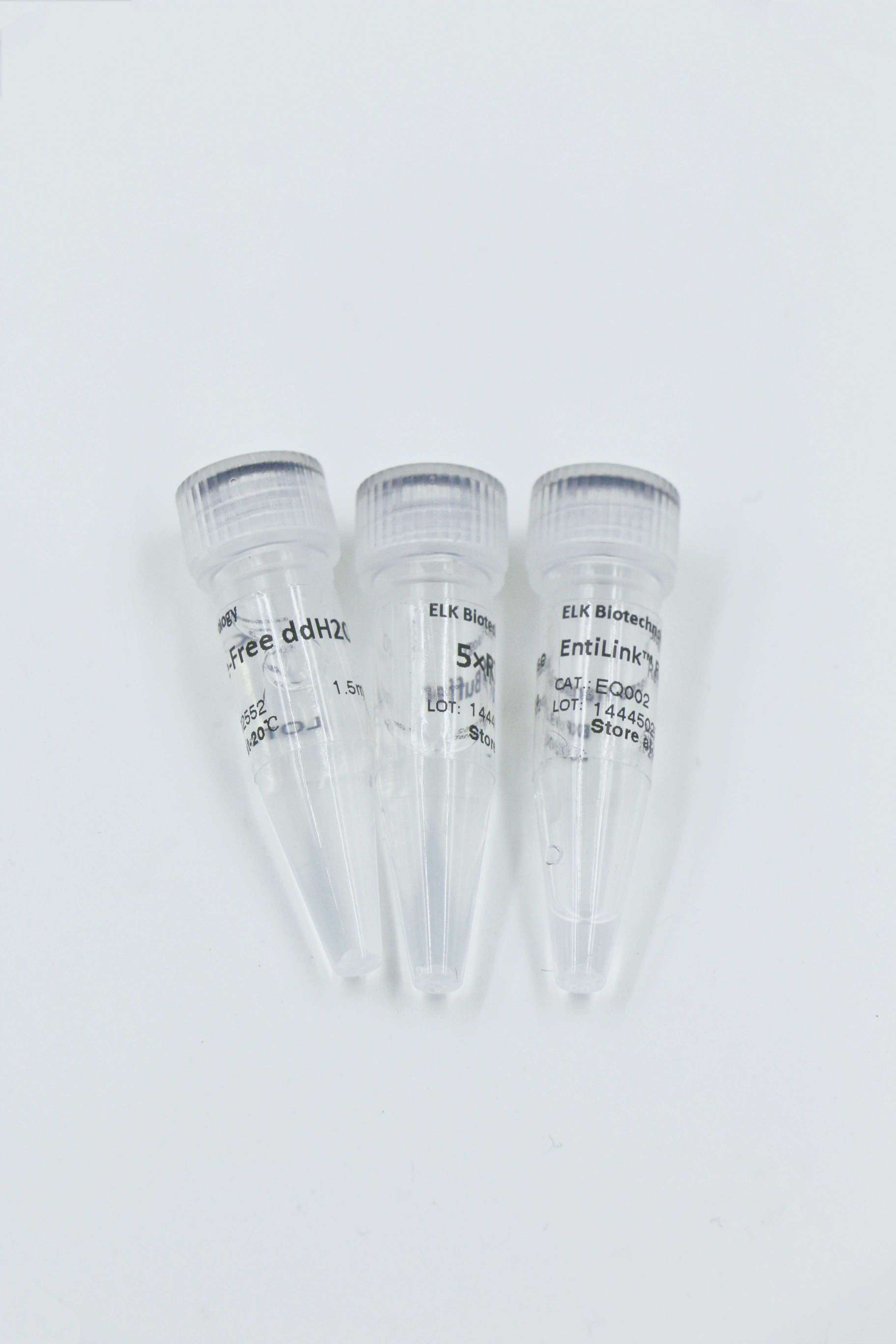 ELK Biotechnology EntiLink Reverse Transcriptase