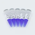 ELK Biotechnology EntiLink PCR Master Mix