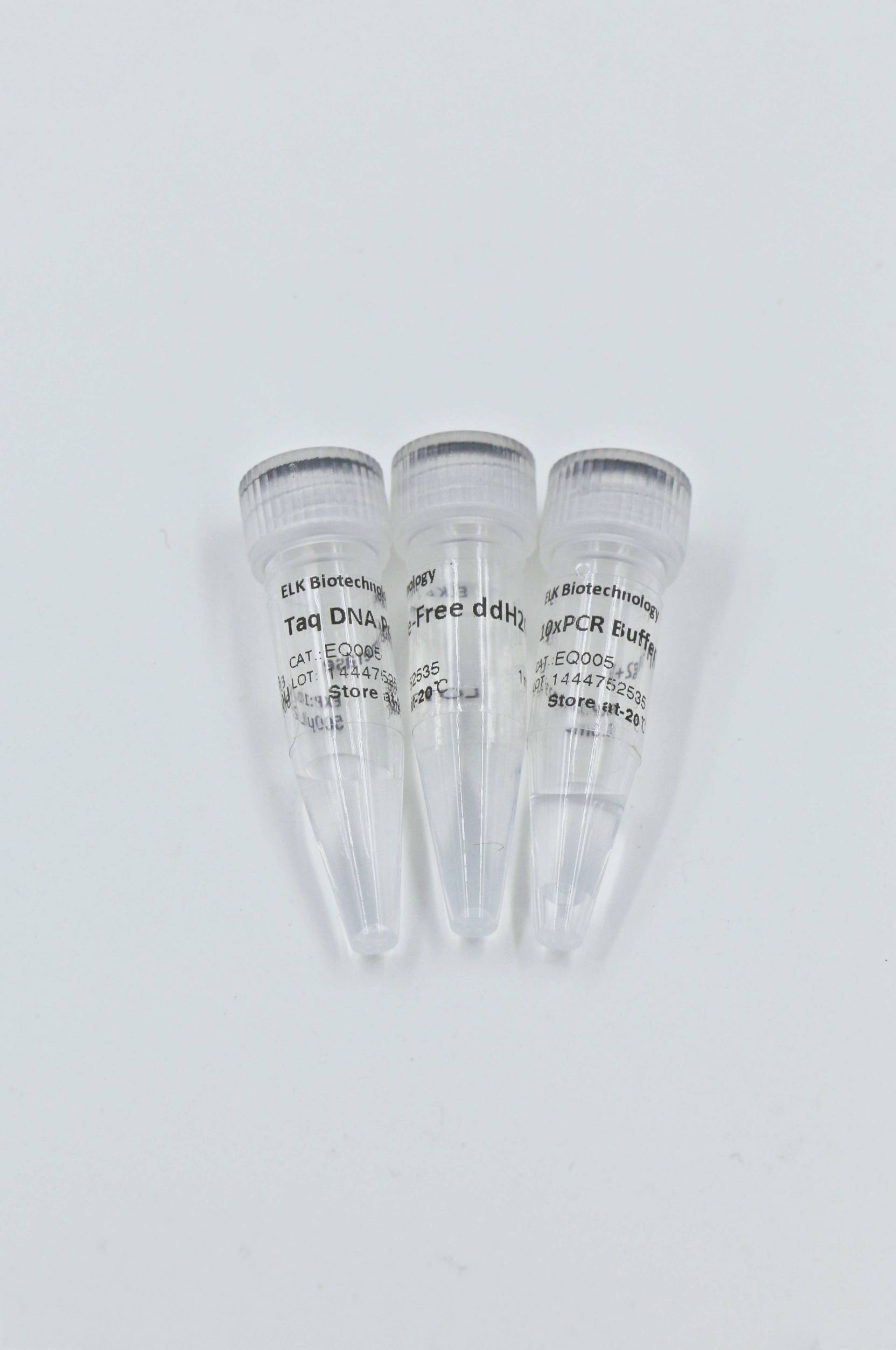 ELK Biotechnology Taq DNA Polymerase
