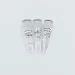 ELK Biotechnology Hot start Taq DNA Polymerase