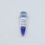 ELK Biotechnology DL2000 DNA Marker 100bp-2000bp