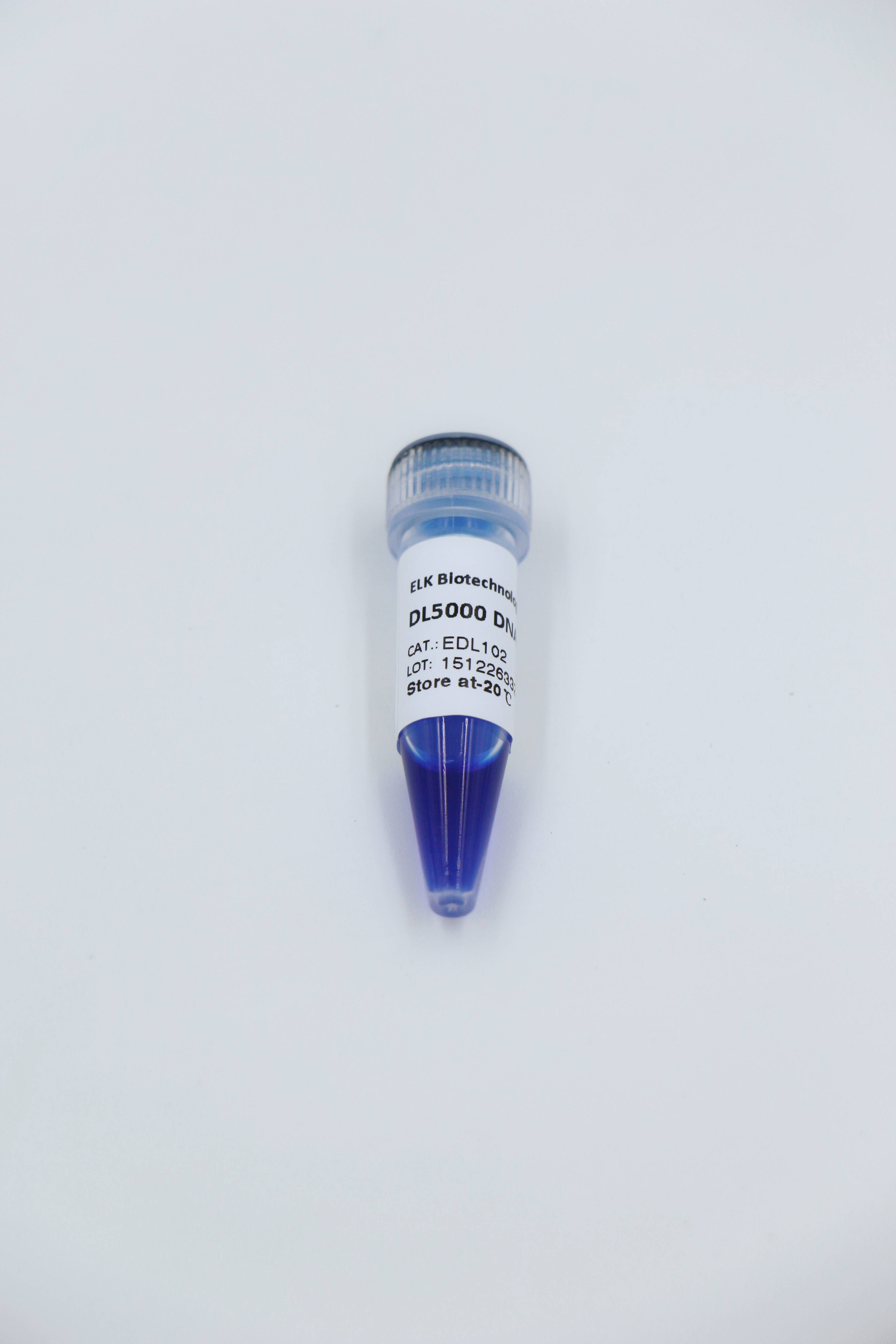 ELK Biotechnology DL5000 DNA Marker 100bp-5000bp