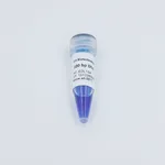 ELK Biotechnology 100 bp DNA Ladder 100bp-3000bp