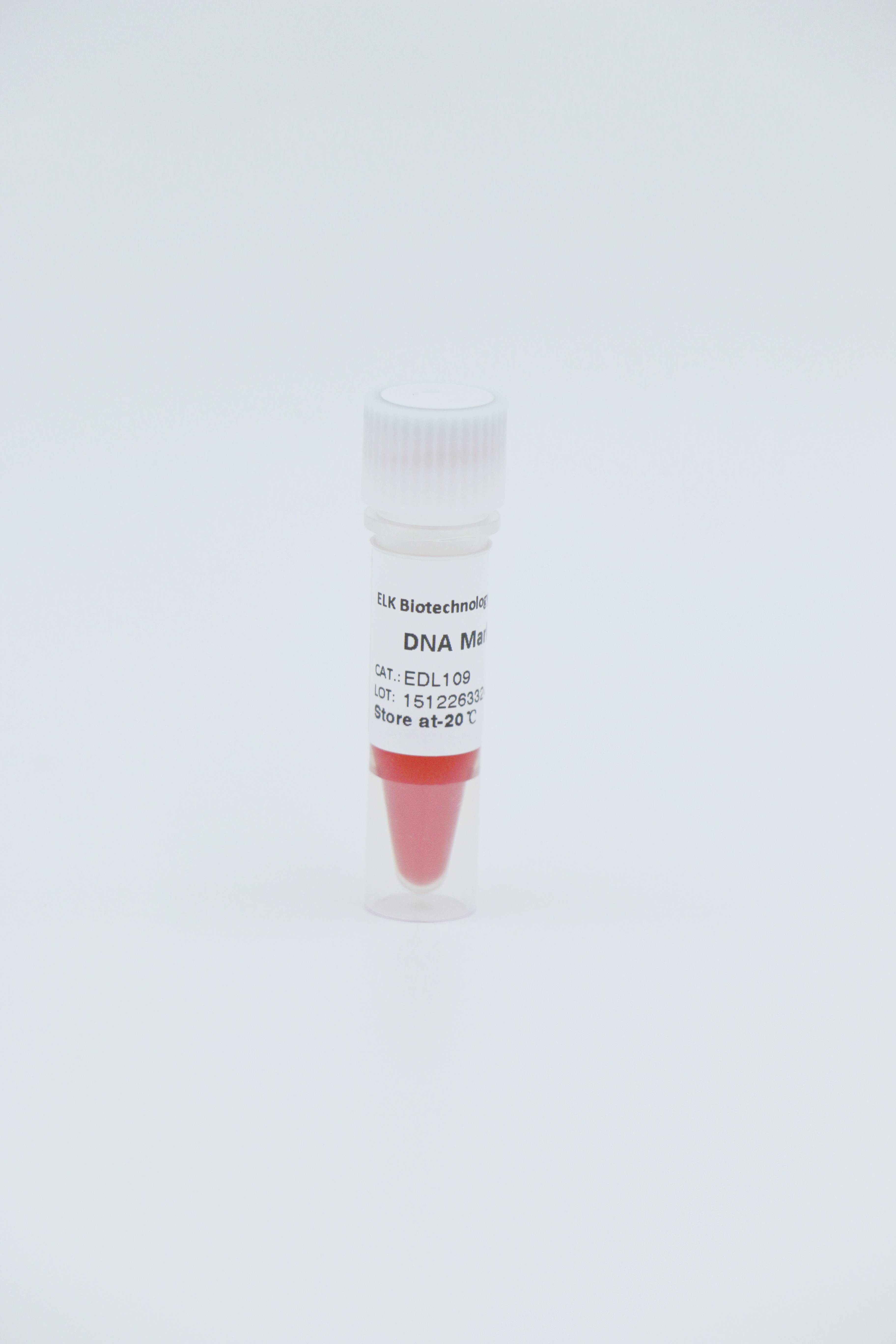 ELK Biotechnology DNA Marker I 100bp-600bp