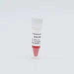 ELK Biotechnology DNA Marker II  100bp-1200bp