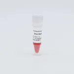 ELK Biotechnology DNA Marker IV 200bp-4500bp