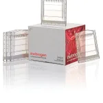 Thermo Fisher Scientific NuPAGE Tris-Acetate Mini Protein Gels, 3 to 8%, 1.0 mm, 2D-well