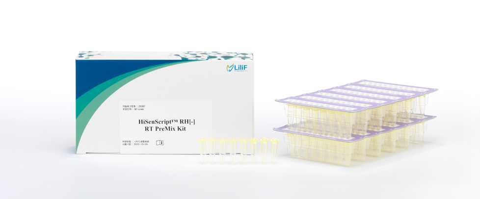 Intron HiSenScript™ RH(-) RT PreMix Kit