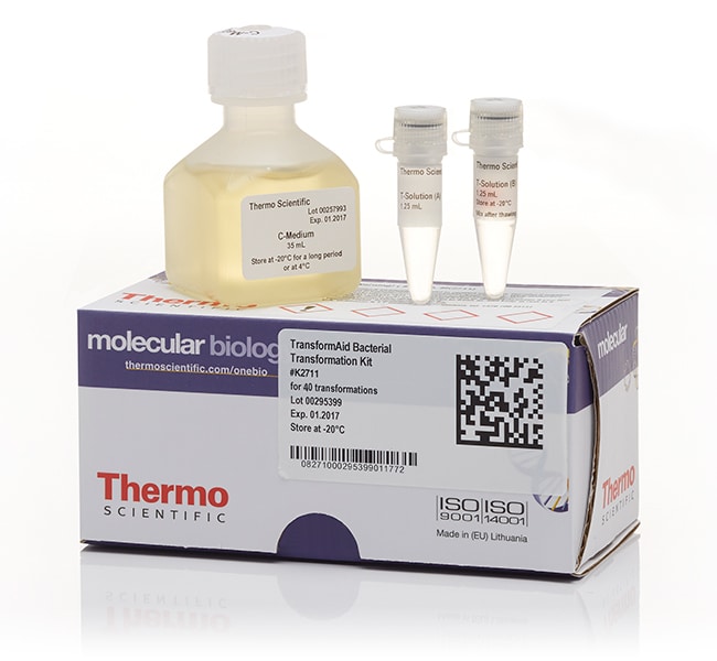 Thermo Fisher Scientific TransformAid Bacterial Transformation Kit
