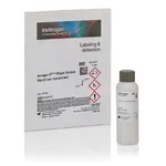 Thermo Fisher Scientific Image-iT Plant Tissue Hard-Set Mountant, 30 mL