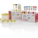 Thermo Fisher Scientific TOPO TA Cloning Kit, Dual Promoter, with One Shot MAX Efficiency DH5α-T1<sup>R</sup> E. coli, 25 Reactions