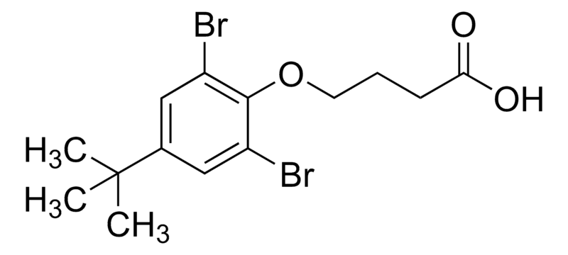 Merck 4-(2,6-Dibromo-4-tert-butylphenoxy)butanoic acid