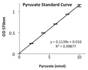 Merck PYRUVATE KINASE TYPE II FROM RABBIT MUSC