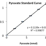 Merck PYRUVATE KINASE TYPE II FROM RABBIT MUSC