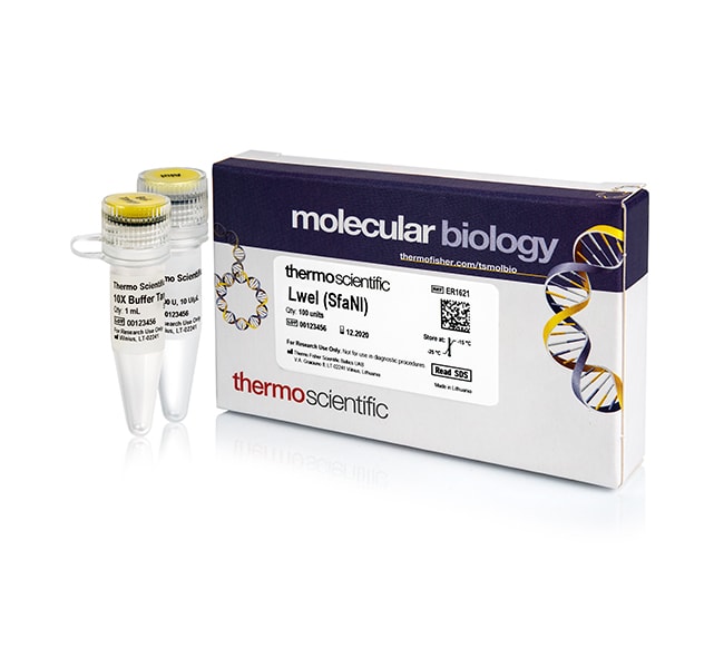 Thermo Fisher Scientific LweI (SfaNI) (10 U/μL), 100 units