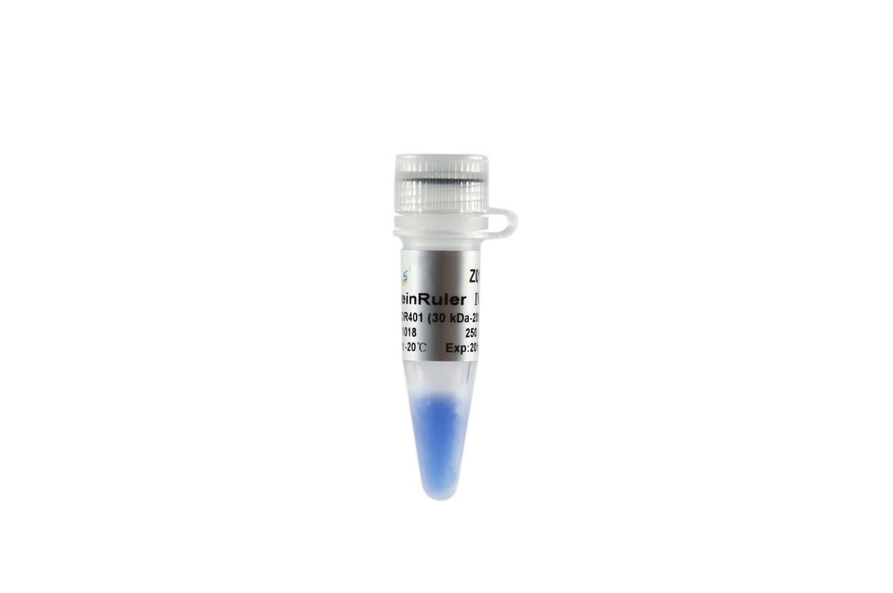 ProteinRuler® IV (30-200 kDa)