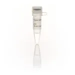 Thermo Fisher Scientific dTTP Solution (100 mM)