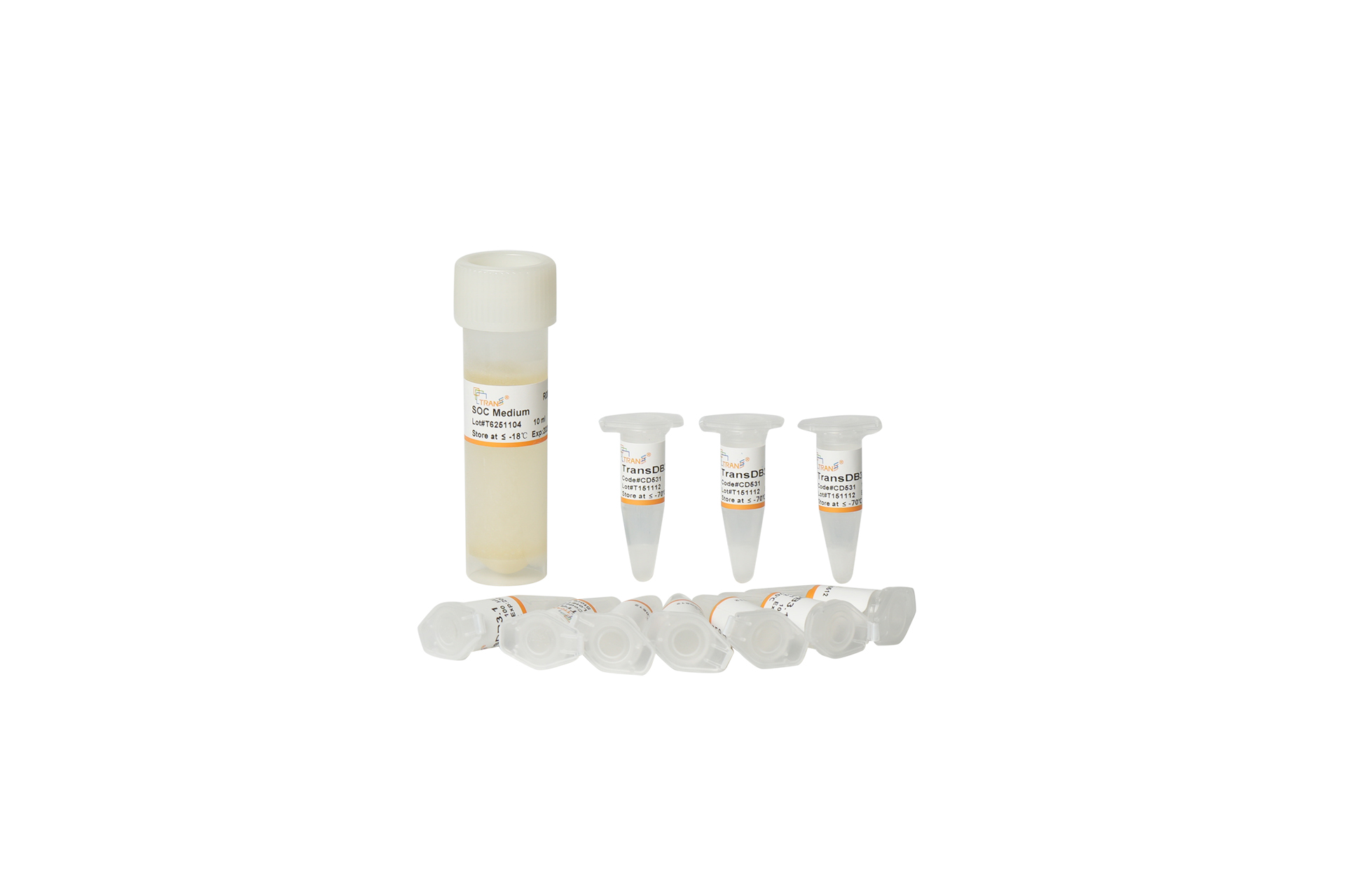 TransDB3.1 Chemically Competent Cell