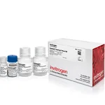 Thermo Fisher Scientific Dynabeads FlowComp Mouse CD8 Kit