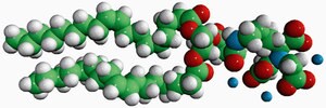 Merck 18:1 DGS-NTA