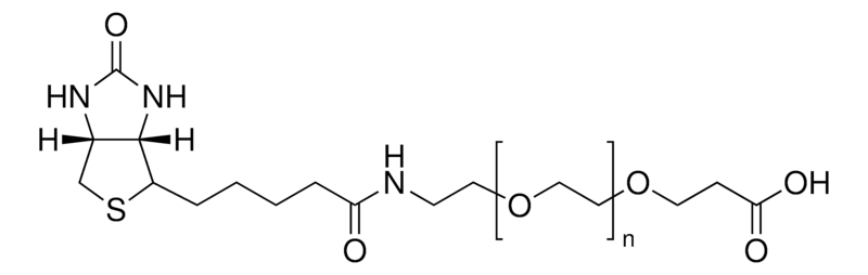 Merck O-[2-(Biotinyl-amino)ethyl]-O'-(2-carboxyethyl)polyethylene glycol