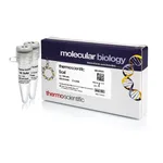 Thermo Fisher Scientific ScaI (10 U/μL), 1,000 units