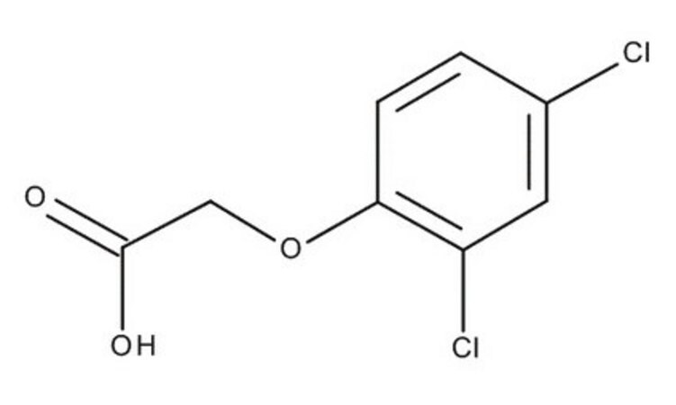 Merck 2,4-DICHLOROPHENOXYACETIC ACID FOR SYNTH