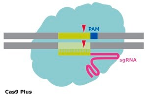 Merck CAS9 PLUS PROTEIN