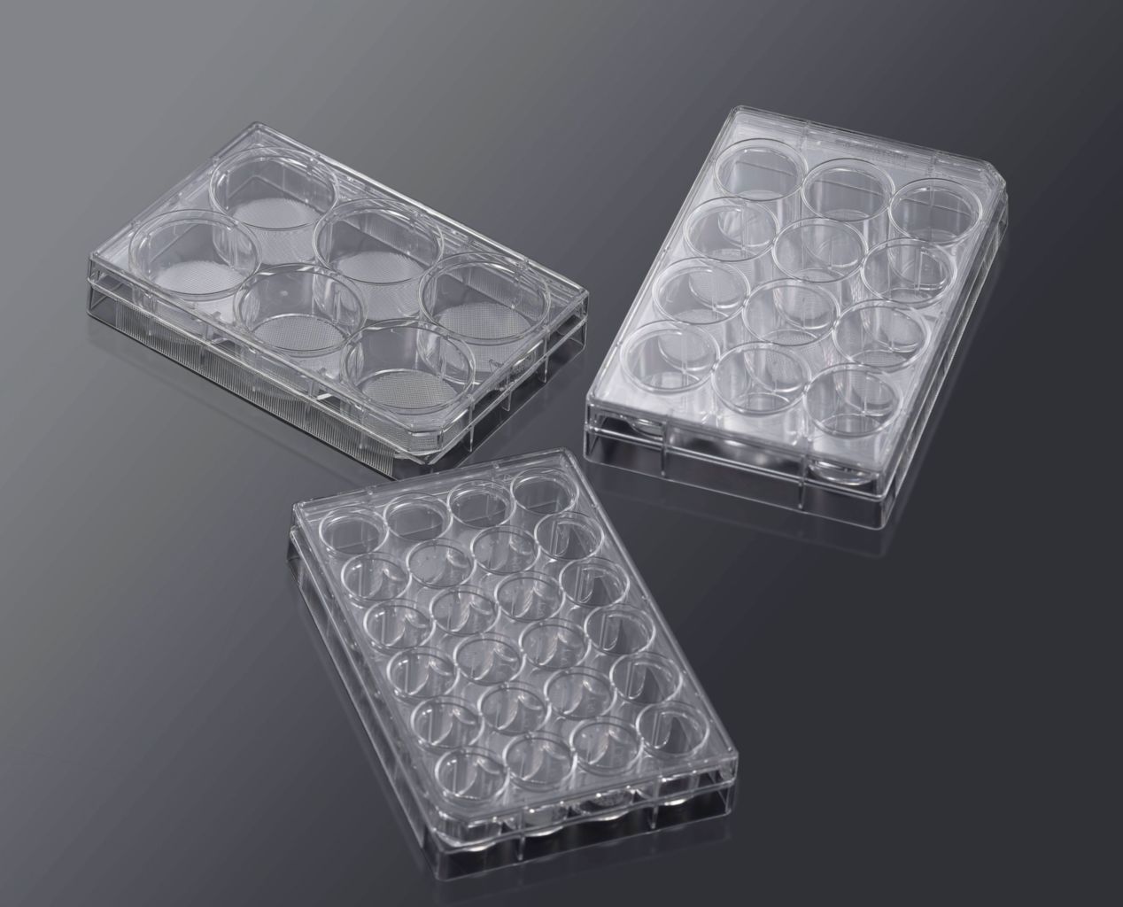 VWR 셀 컬쳐 플레이트, 3D scaffold