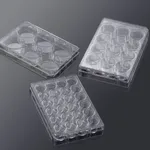 VWR 셀 컬쳐 플레이트, 3D scaffold