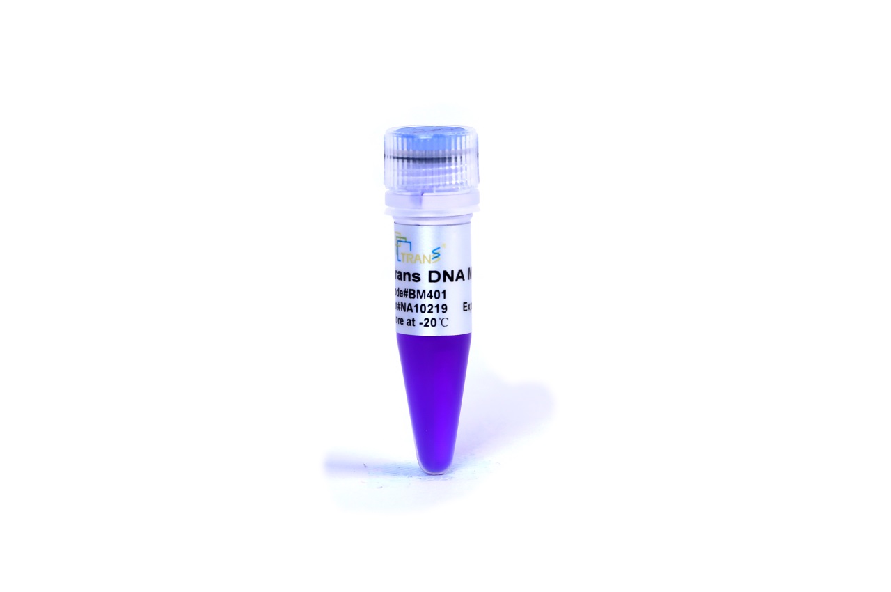 Trans DNA Marker I