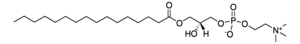 Merck SOY LYSO PC