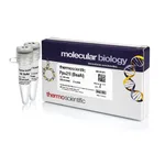 Thermo Fisher Scientific Ppu21I (BsaAI) (10 U/μL)
