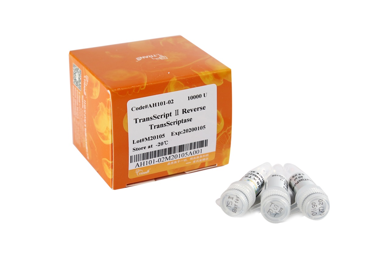 TransScript® II Reverse Transcriptase