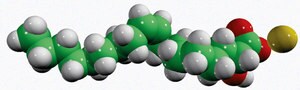 Merck 2-OHOA