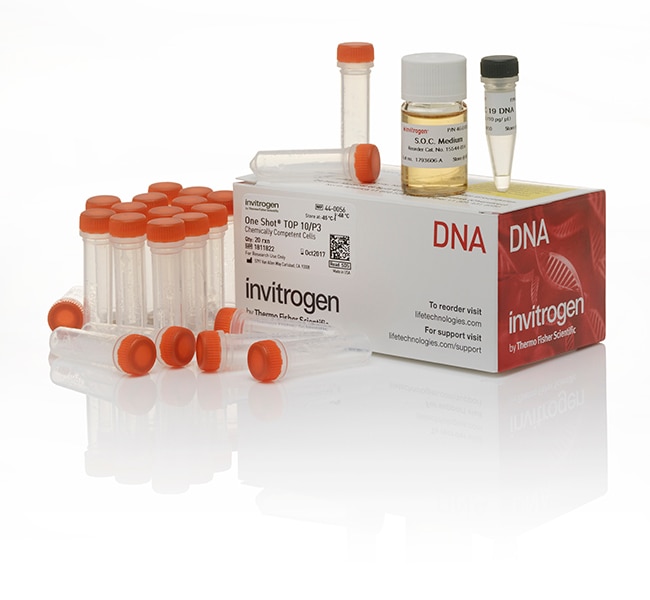 Thermo Fisher Scientific One Shot TOP10/P3 Chemically Competent E. coli