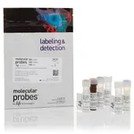 Thermo Fisher Scientific CellROX Deep Red Flow Cytometry Assay Kit