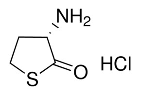 Merck L-HOMOCYSTEINE THIOLACTONE HCL         &