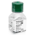 Thermo Fisher Scientific Potassium Acetate (3 M), pH 5.5, RNase-free