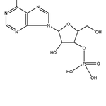 Merck ADENOSINE 3``-MONOPHOSPHATE SODIUM SALT&
