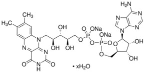 Merck FLAVIN ADENINE DINUCLEOTIDE DISODIUM