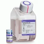 Thermo Fisher Scientific StemPro MSC SFM XenoFree