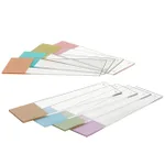 Thermo Fisher Scientific ColorFrost Plus Microscope Slides