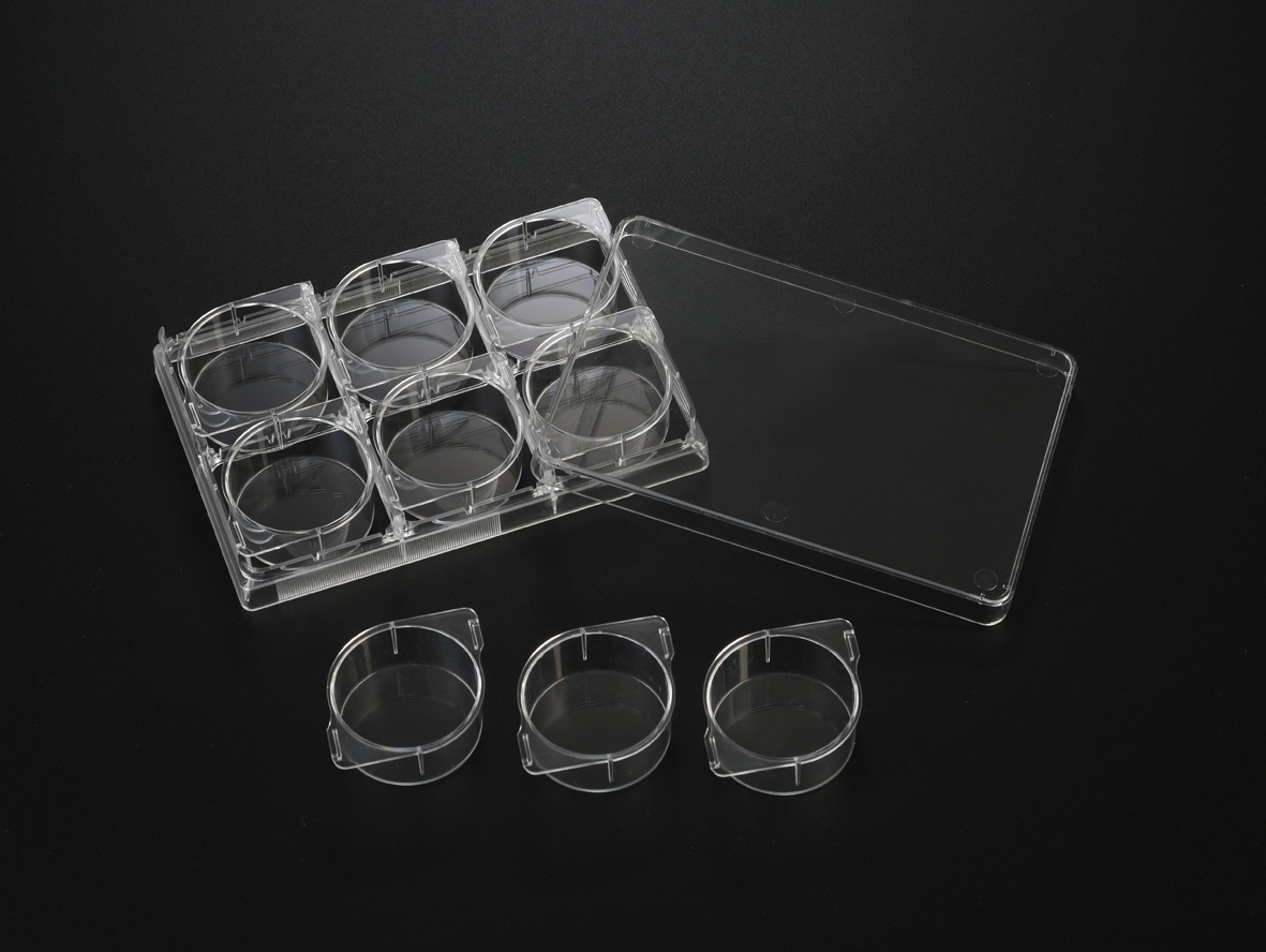 SPL Cell Culture Module Plate