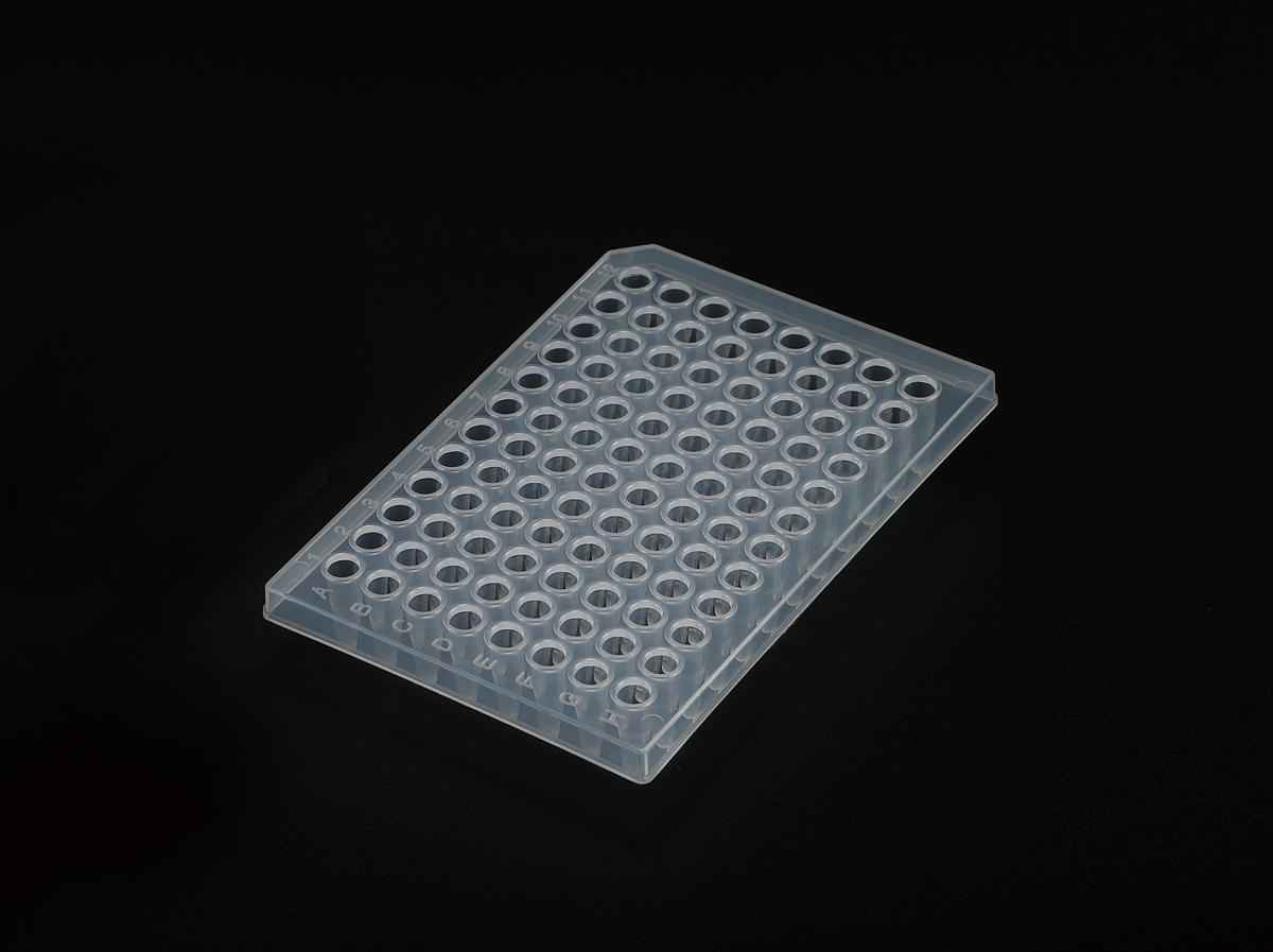 SPL PCR Plate
