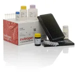 Thermo Fisher Scientific ProcartaPlex Human Immune Response Panel, 80plex