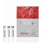 Thermo Fisher Scientific LIVE/DEAD Fixable Lime (506) Viability Kit, for 405 nm excitation, 80 Assays