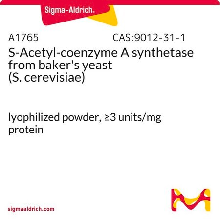 Merck S-Acetyl-coenzyme A synthetase from baker's yeast (S. cerevisiae)